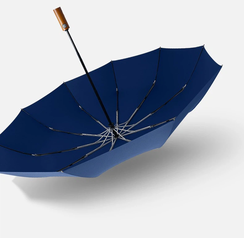 Automatic Rain Umbrella